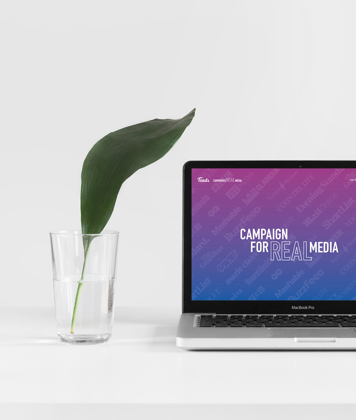Mock_Screen_plant